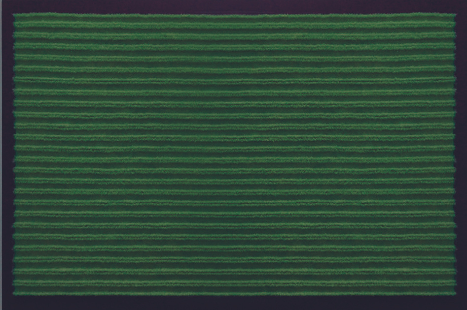 Коврик влаговпитывающий "Ребристый" 40x60 см, зеленый, SUNSTEP  #1