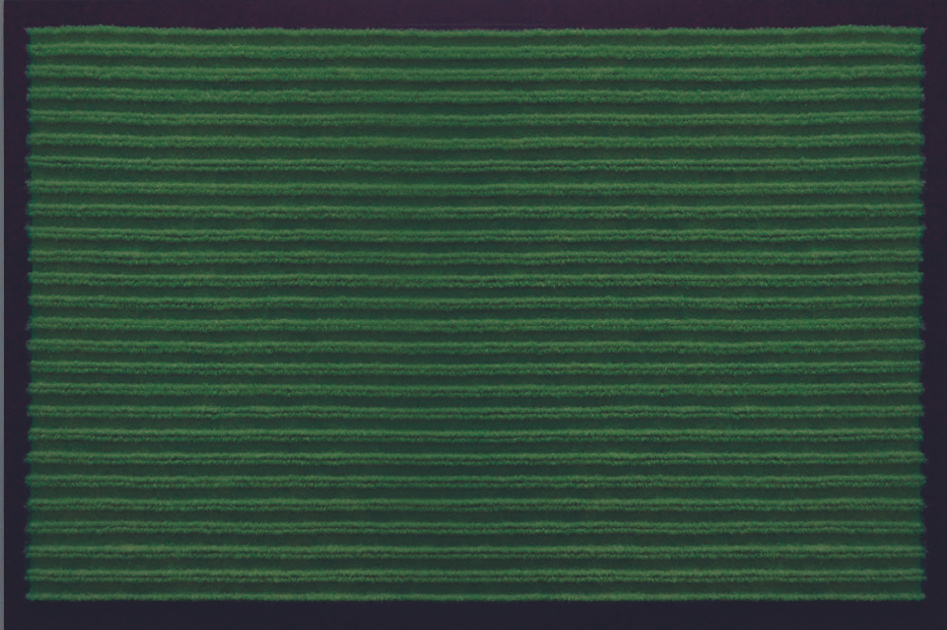 Коврик влаговпитывающий "Ребристый" 50х80 см, зеленый, SUNSTEP  #1