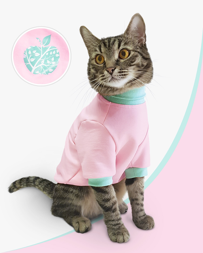 На что нужно обращать внимание при выборе одежды для кошек: