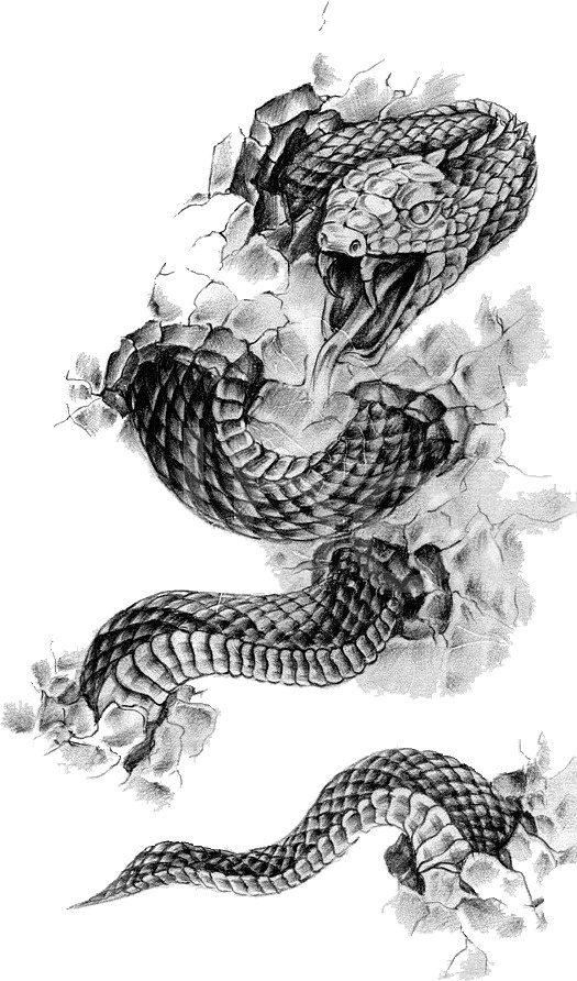 Термонаклейка на все виды и любой цвет одежды (DTF) змея, змеи, рептилии.  #1