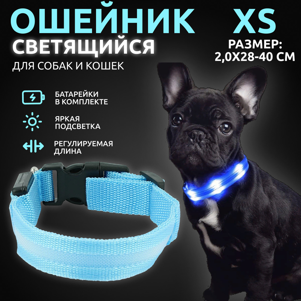 Ошейник светящийся для собак и кошек светодиодный нейлоновый голубого цвета, размер XS - 2,0х28-40 см #1