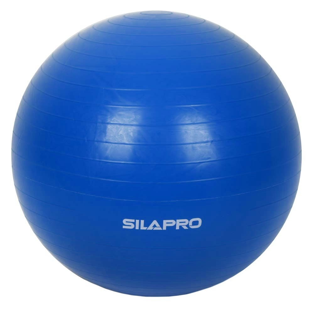 Мяч для фитнеса Silapro, гимнастический 193-003, синий, диаметр 65 см  #1