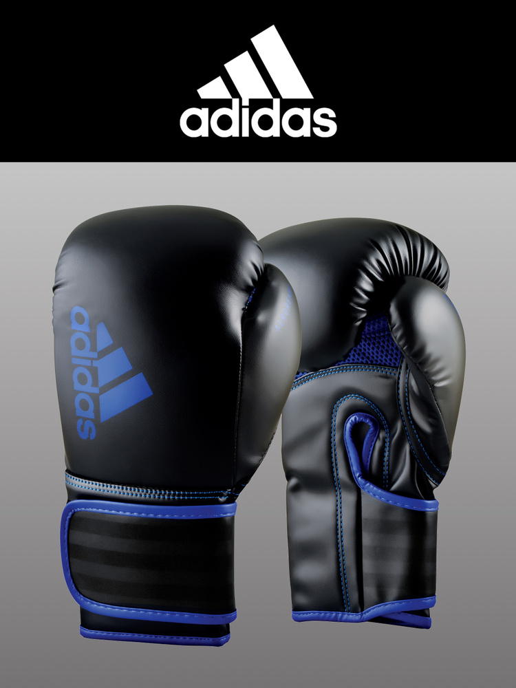 Боксерские перчатки Hybrid 80 черно-синие (10 унций) #1
