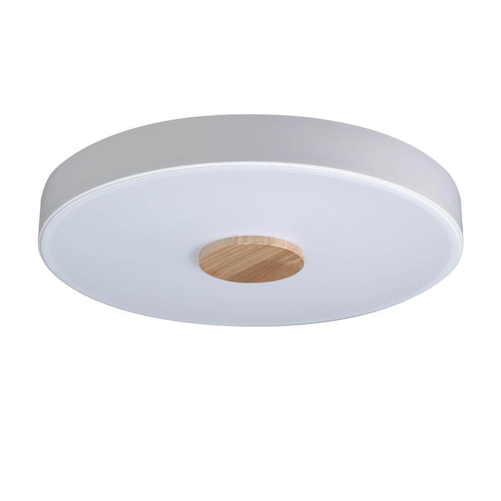 Потолочный светодиодный светильник Loft IT Axel 10003/24 white #1