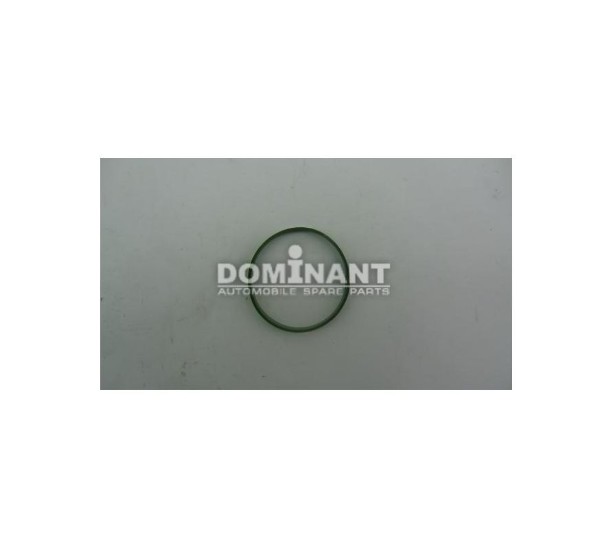 Прокладка дроссельной заслонки OP58250718 DOMINANT #1