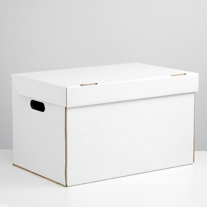 Коробка для хранения, белая, 48 х 32,5 х 29,5 см #1