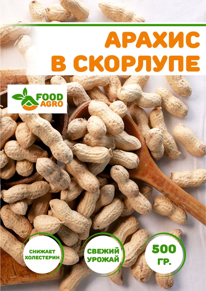 Арахис в скорлупе Foodagro, жареный, 500 г #1