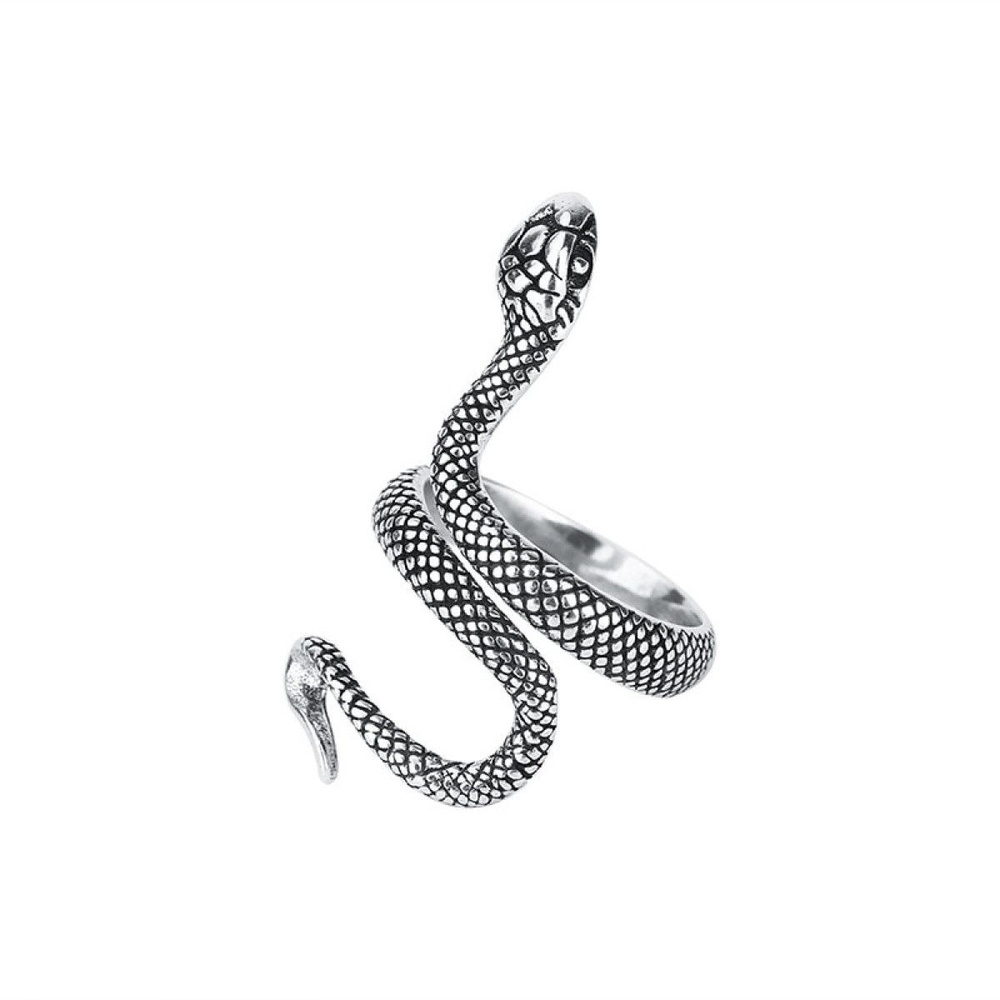 Регулируемое незамкнутое кольцо Змея #1