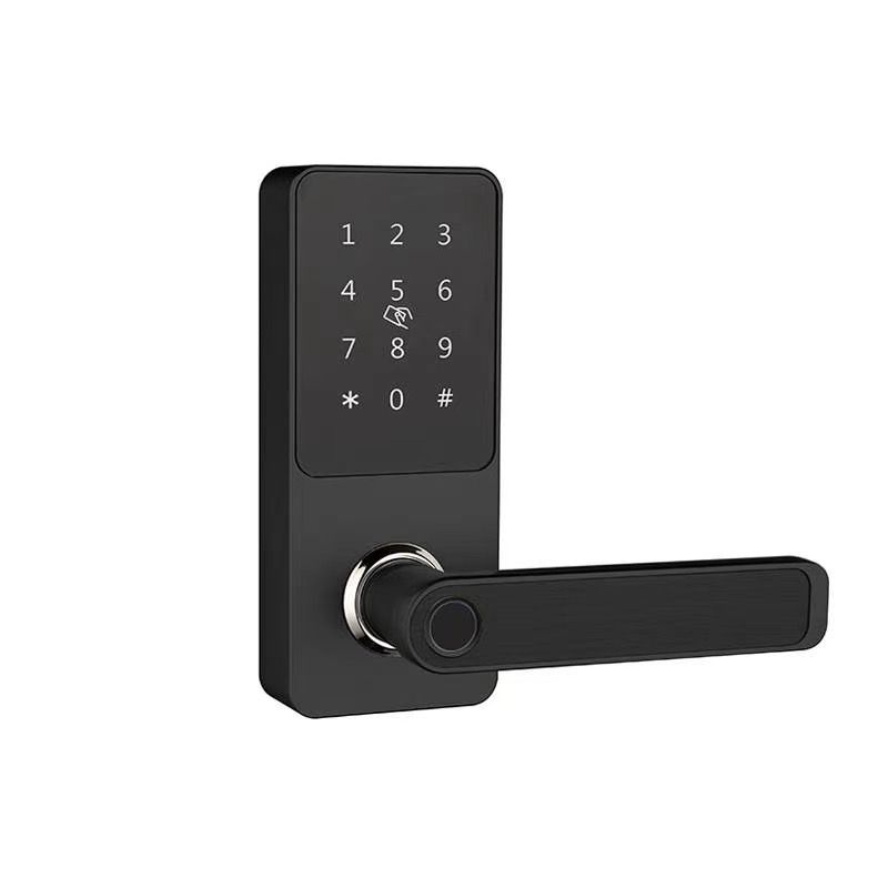 Биометрический замок электронный, врезной для входной двери SAFEBURG ...