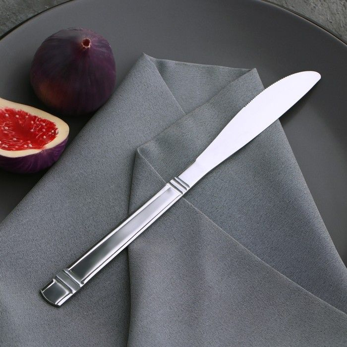 Нож столовый из нержавеющей стали Доляна Варт , длина 21,9 см, толщина 2 мм, цвет серебряный  #1