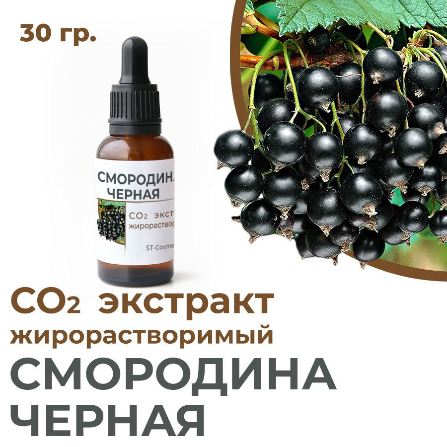 СО2 экстракт смородины черной, 30 гр. #1