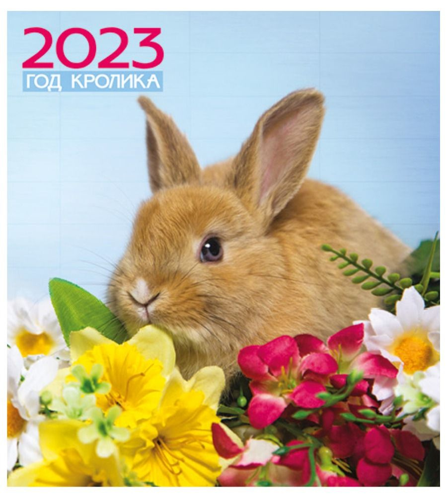 Перекидной календарь 2023 24х24. Год кролика 5 #1
