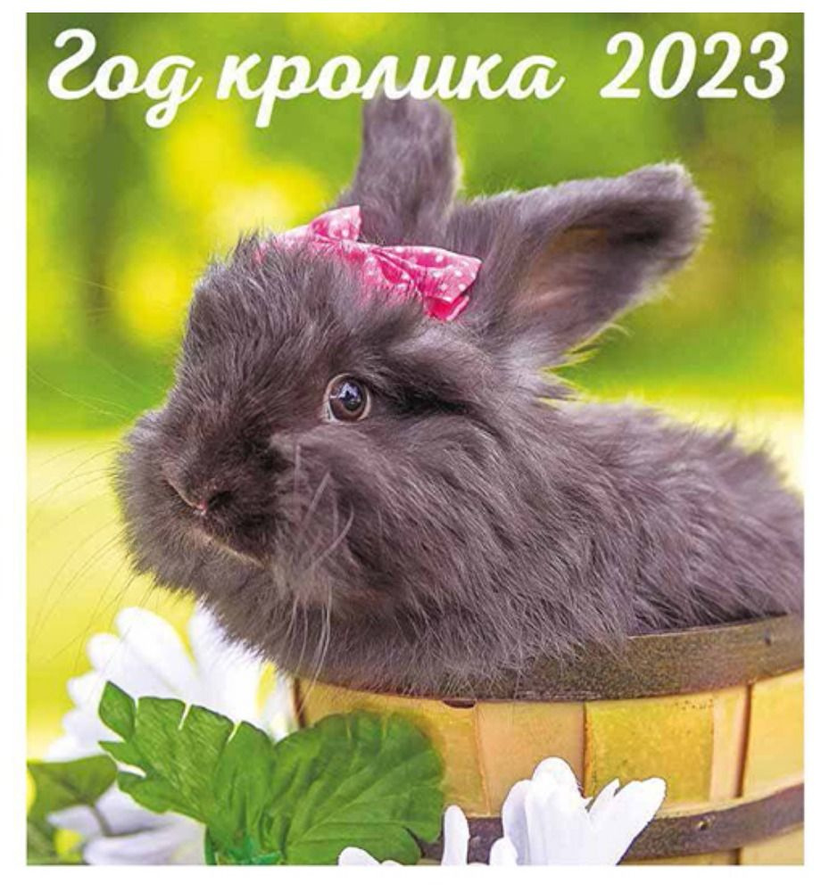 Перекидной календарь 2023 24х24. Год кролика 2 #1