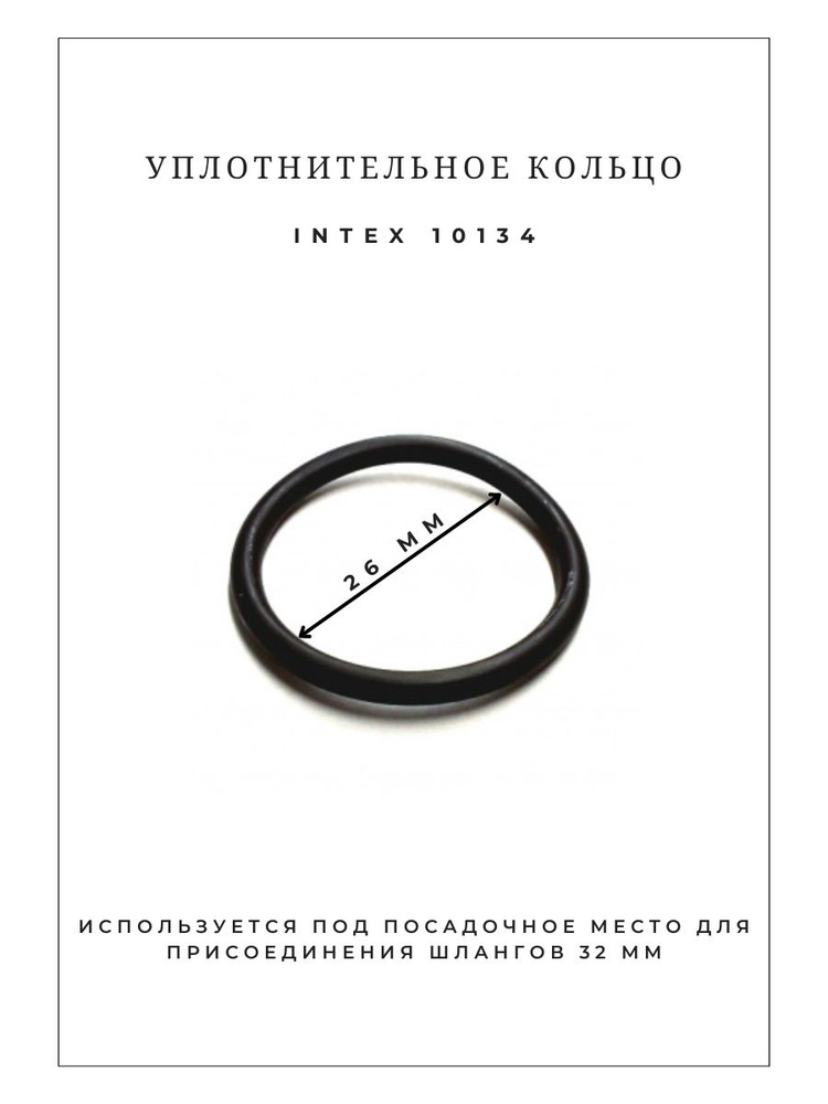 Уплотнительное кольцо Intex 10134 #1