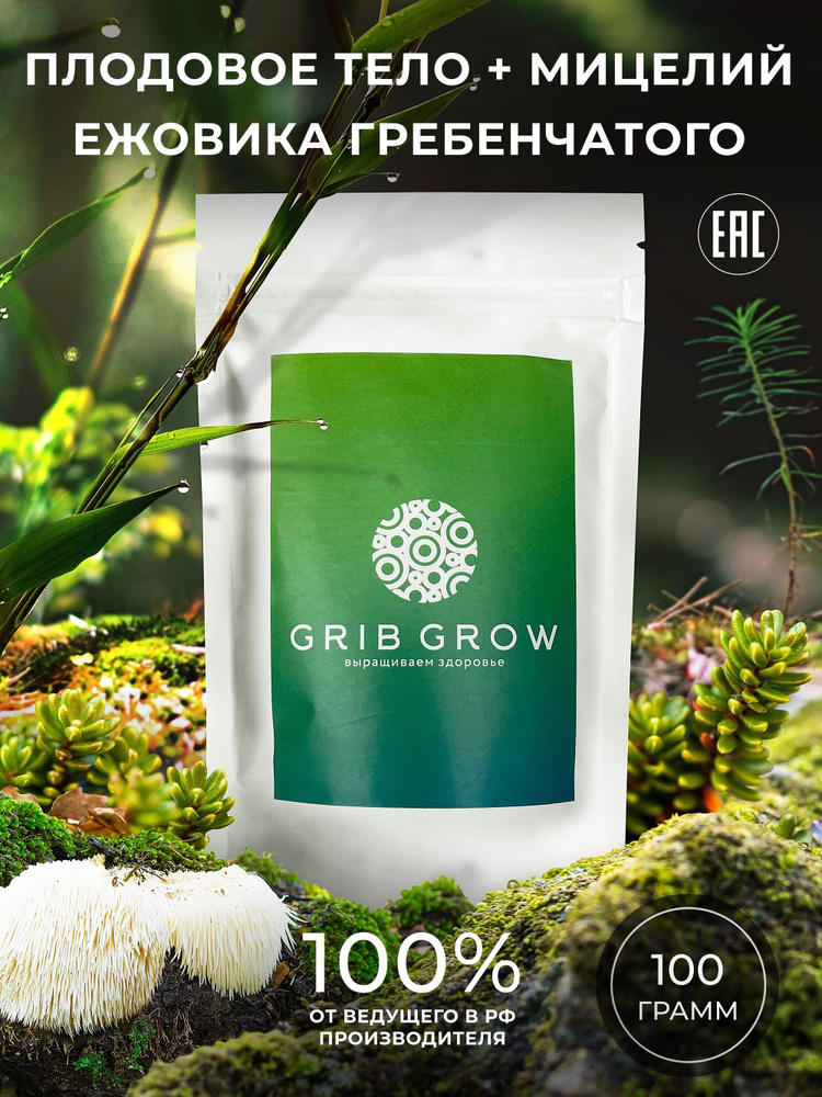 Ежовик Гребенчатый плодовое тело + мицелий Grib Grow - 100 грамм  #1