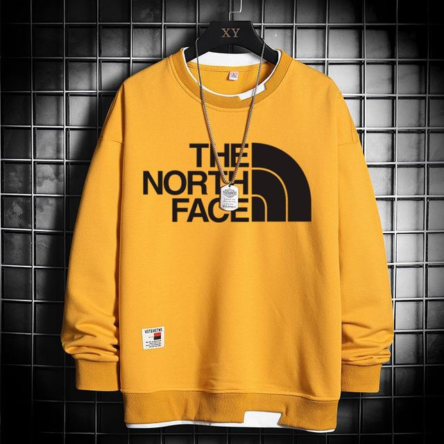 Толстовка The North Face #1