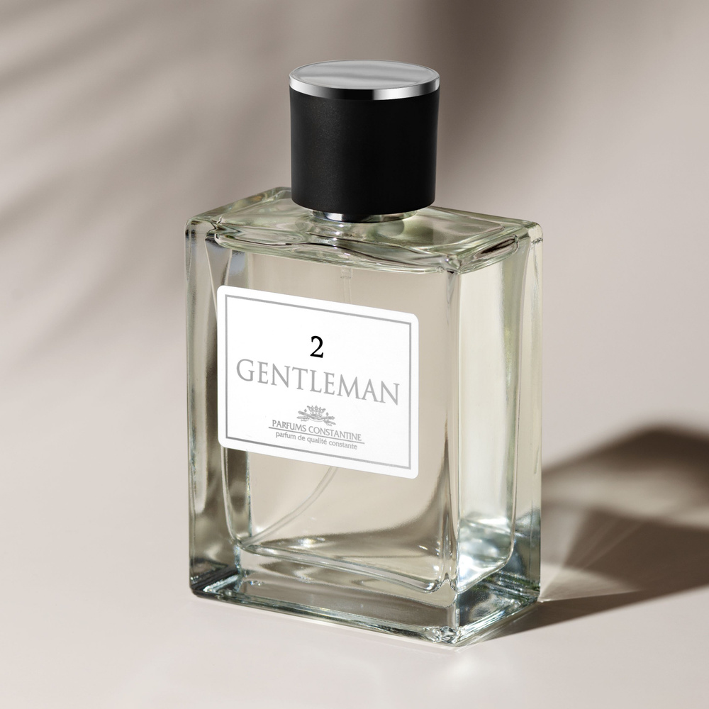 Парфюмерия мужская PARFUMS CONSTANTINE GENTLEMAN 2 Туалетная вода, Духи 100мл  #1