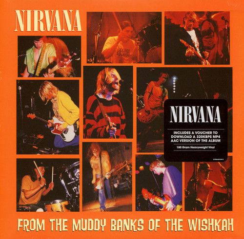 Виниловая пластинка Nirvana From The Muddy Banks Of The Wishkah Live #1