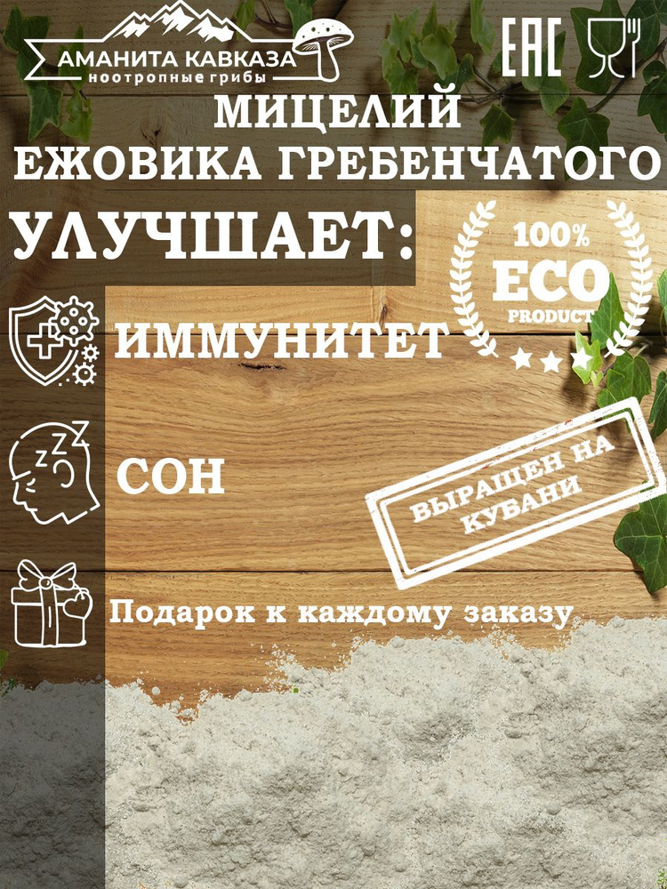 Мицелий Ежовика Гребенчатого Вакумная упаковка 100 гр. / Курс на 20 дней / Hericium Erinaceus  #1