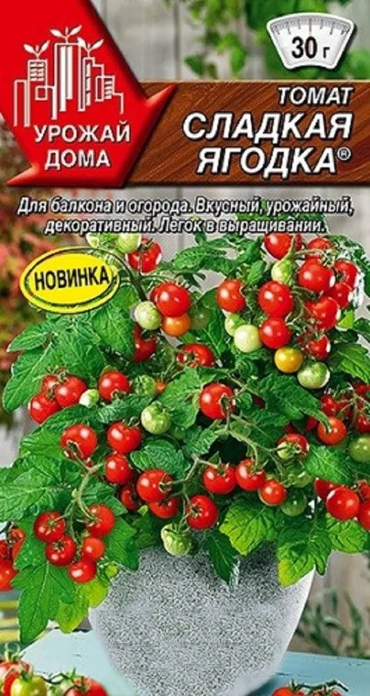 Томат Сладкая ягодка, 20шт, для выращивания на балконе или подоконнике, компактный, не требуется подвязка. #1