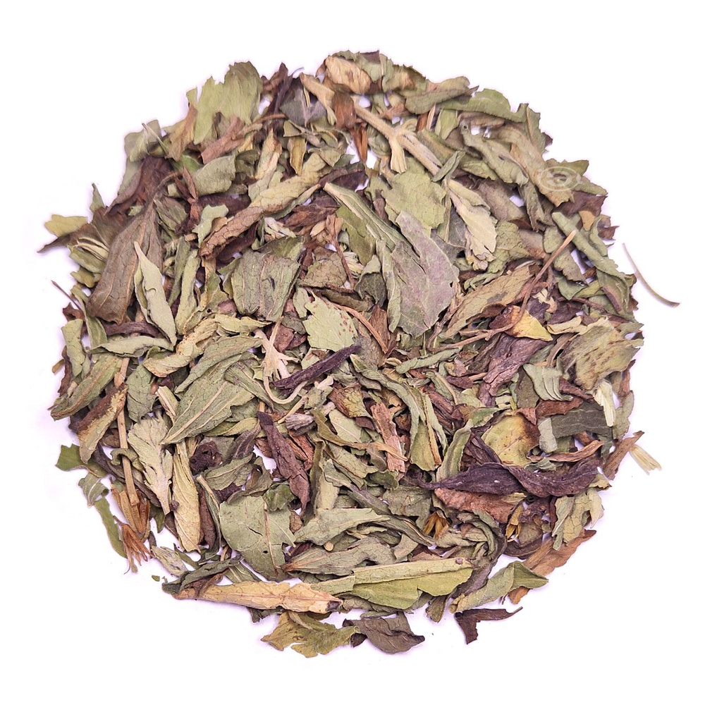 Стевия трава, крымский травяной чай #1