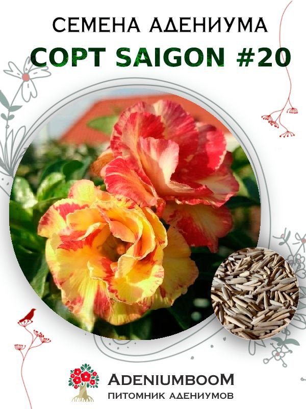 Семена Адениума Обесум от Saigon Adenium #20 (4шт.) / семена цветов комнатных суккулентов, набор семян #1