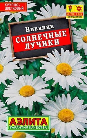 НИВЯНИК СОЛНЕЧНЫЕ ЛУЧИКИ. Семена. Вес 0,3 гр. Крупноцветковый многолетник.  #1