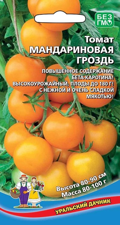 Томат МАНДАРИНОВАЯ ГРОЗДЬ, 1 пакет, семена 20шт, Уральский Дачник, для открытого грунта и парников  #1