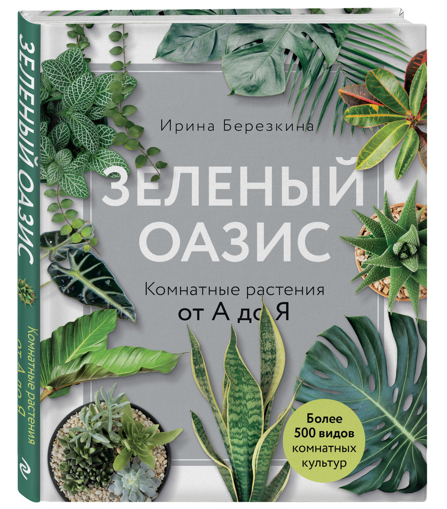 Зеленый оазис. Комнатные растения от А до Я | Березкина Ирина Валентиновна  #1