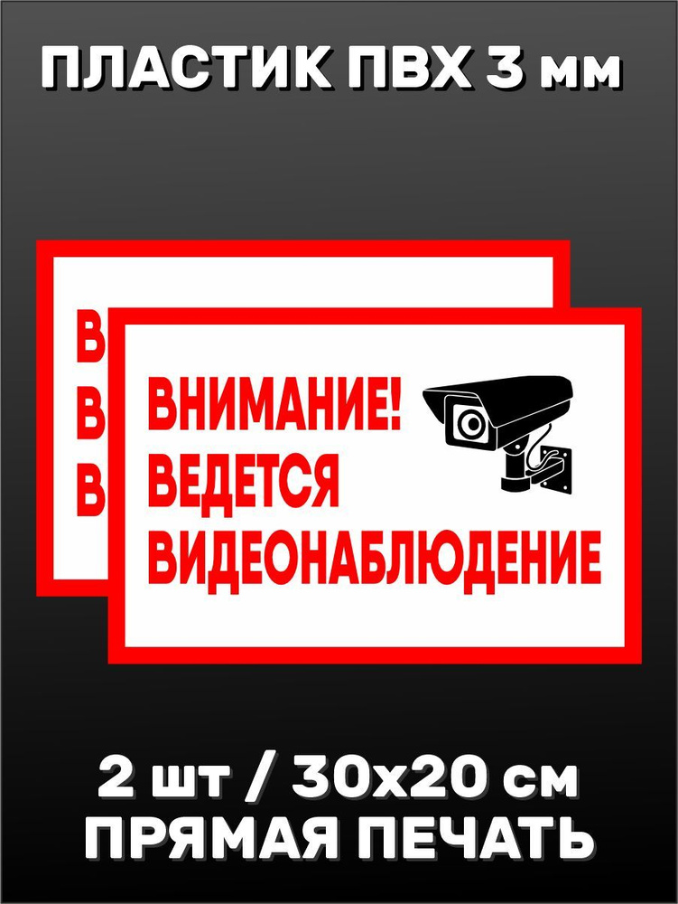 Табличка информационная Видеонаблюдение 30х20см - 2 шт. #1