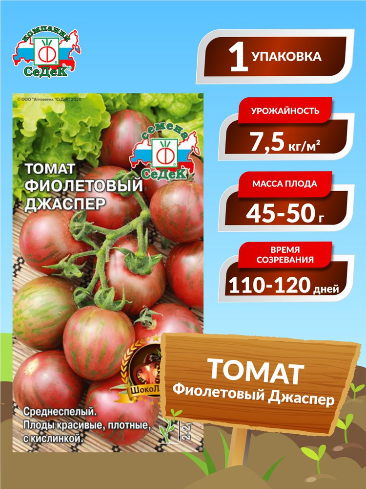 Семена Томат Фиолетовый Джаспер Среднеспелые 0,1 гр. #1