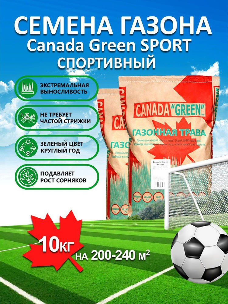 Canada Green Семена #1