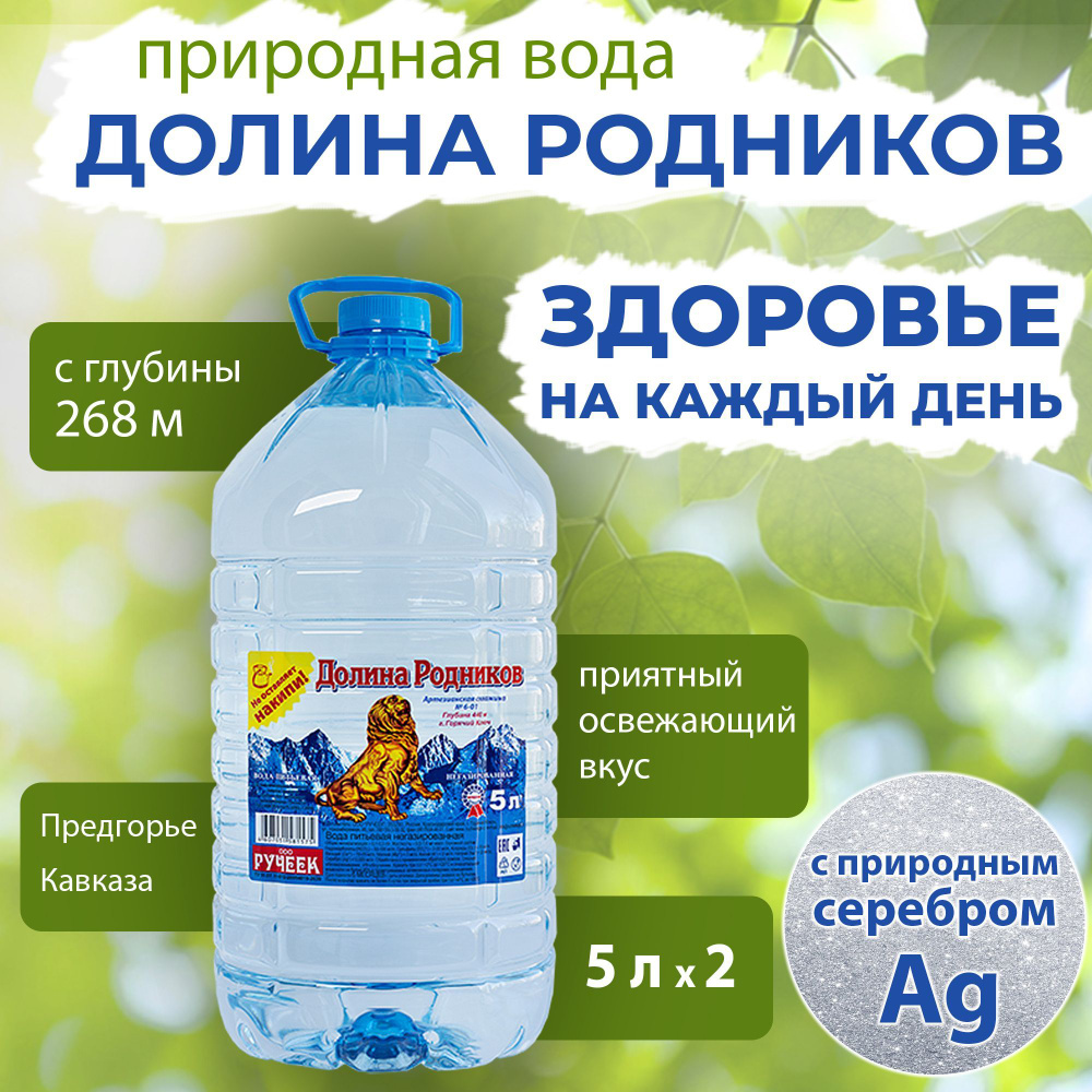 Вода Долина Родников с серебром. Объем 5л*2. Ручеек, негазированная, Вода  минеральная питьевая природная чистая целебная лечебная, выводит токсины,  для детей мам родителей семьи - купить с доставкой по выгодным ценам в  интернет-магазине