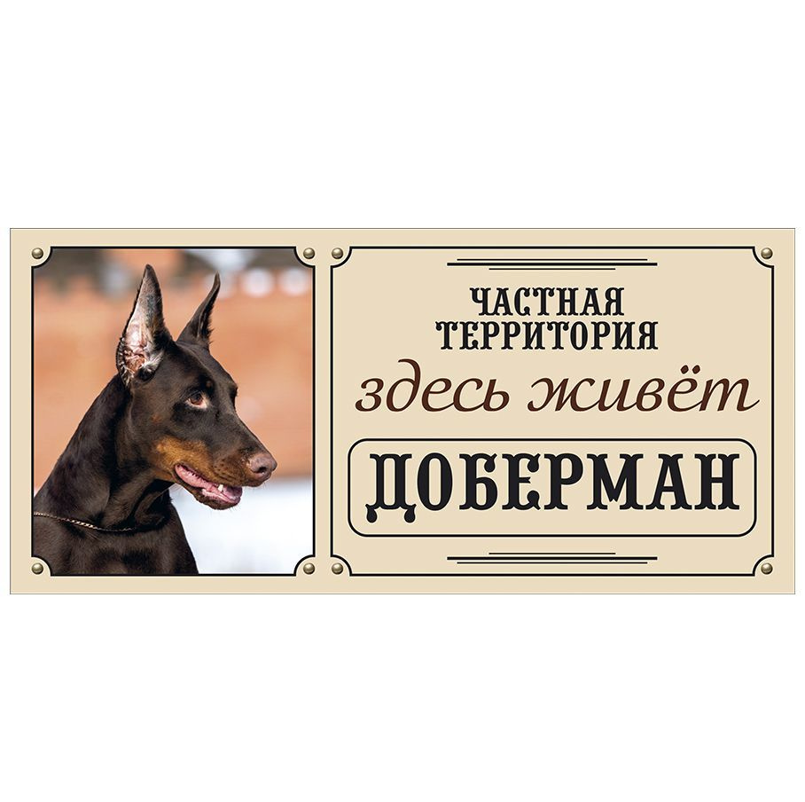 Табличка, Злая собака, Здесь живет Доберман, на металлической основе, 30см х 14 см, на забор, на дверь #1