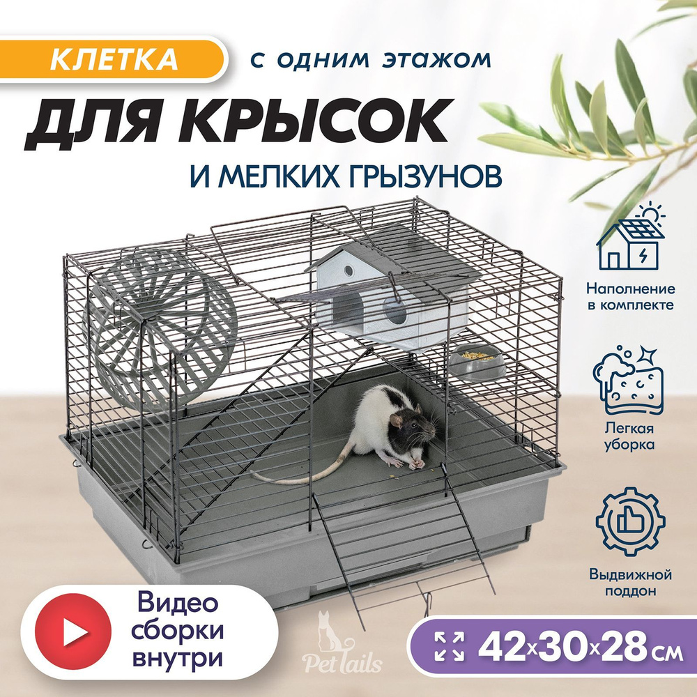 Как обустроить клетку для хомяка - Зоомагазин MasterZoo