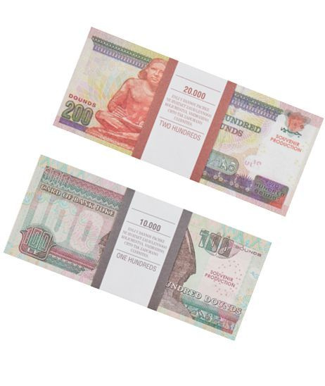 Набор №18 Сувенирные деньги набор - египетские фунты (100, 200)  #1