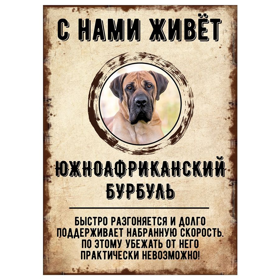 Табличка, декоративная, DANGER DOG, С нами живет Южноафриканский бурбуль, 18см х 25см  #1