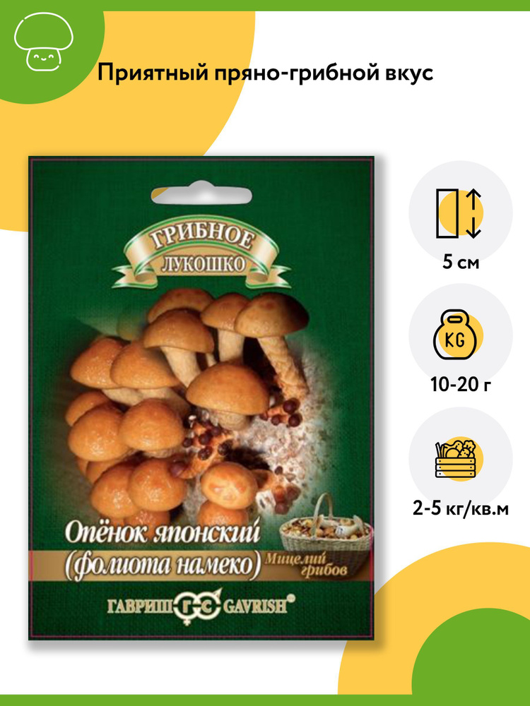 Гриб Опенок (фолиота намеко) японский (1 уп - 12 шт). Мицелий грибов. Агрофирма "Гавриш"  #1