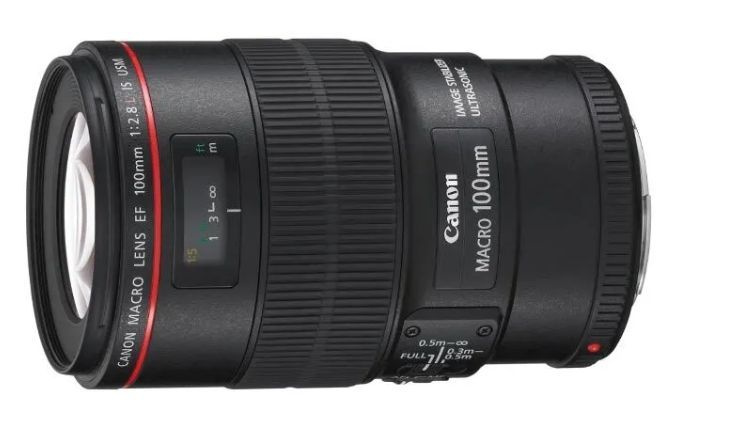 Объектив Canon EF 100mm f/2.8 L Macro IS USM #1