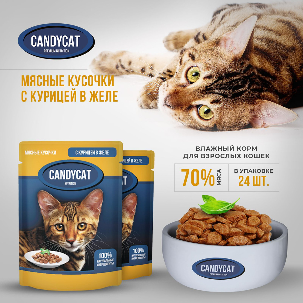 Влажный корм для кошек Candycat, Мясные кусочки с курицей в желе, 24 шт по 85 г  #1