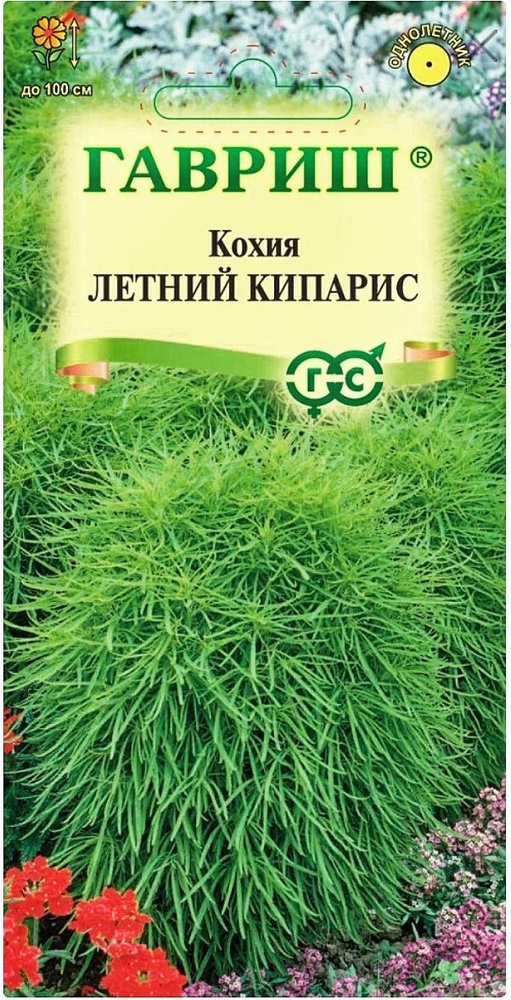 Кохия Летний кипарис (веничная), 1 пакет, семена 0,3 гр, Гавриш  #1