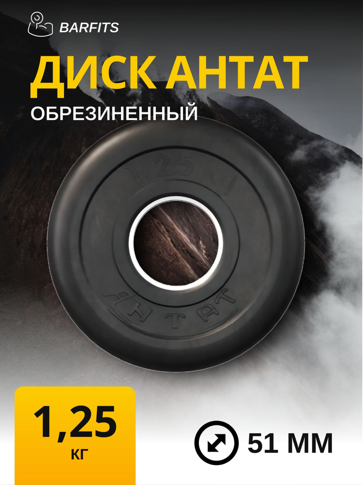 Диск обрезиненный для гантелей и штанги 51 мм 1,25 кг Антат, черный  #1