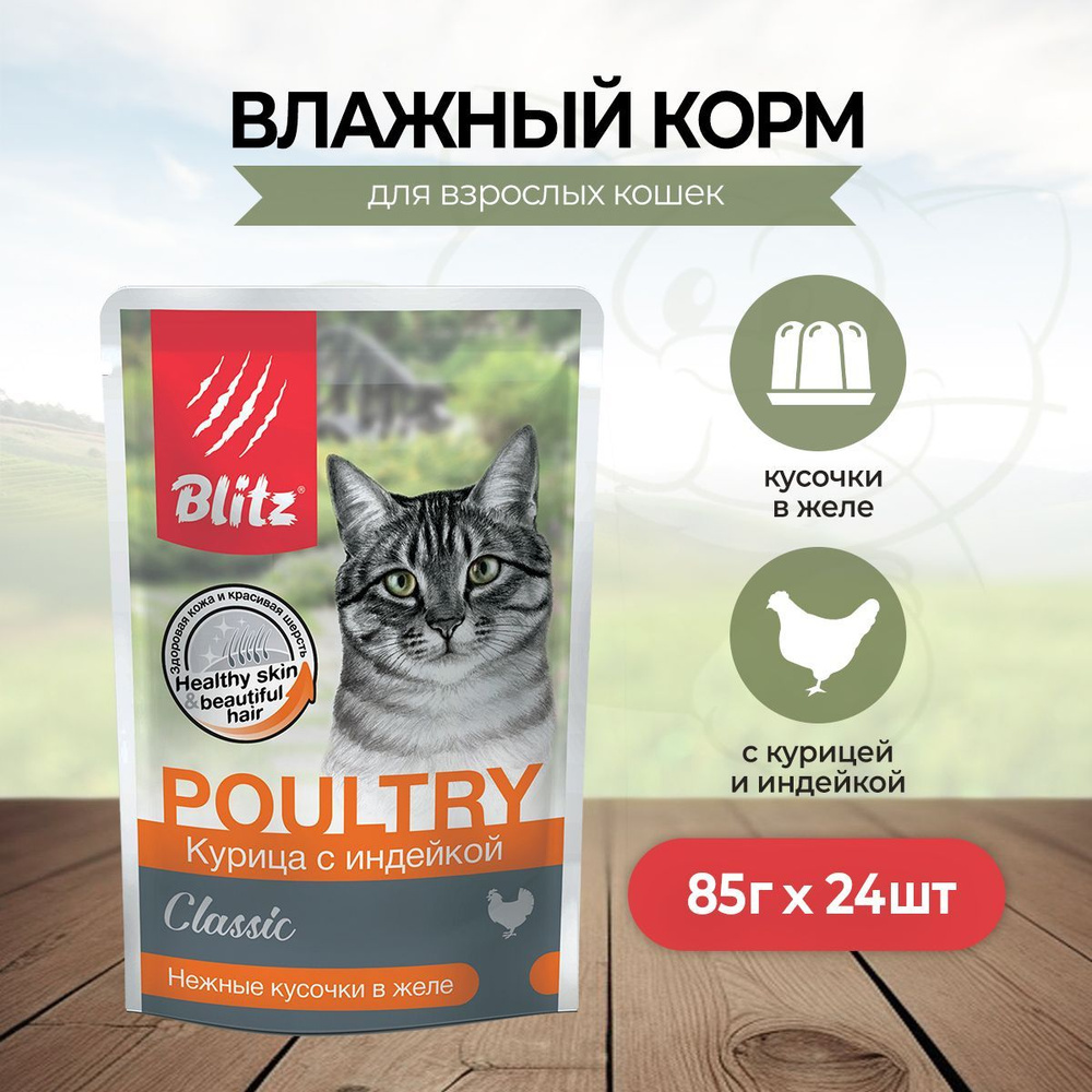 Blitz Cat Adult влажный корм для взрослых кошек с курицей и индейкой в желе, в паучах - 85 г х 24 шт #1