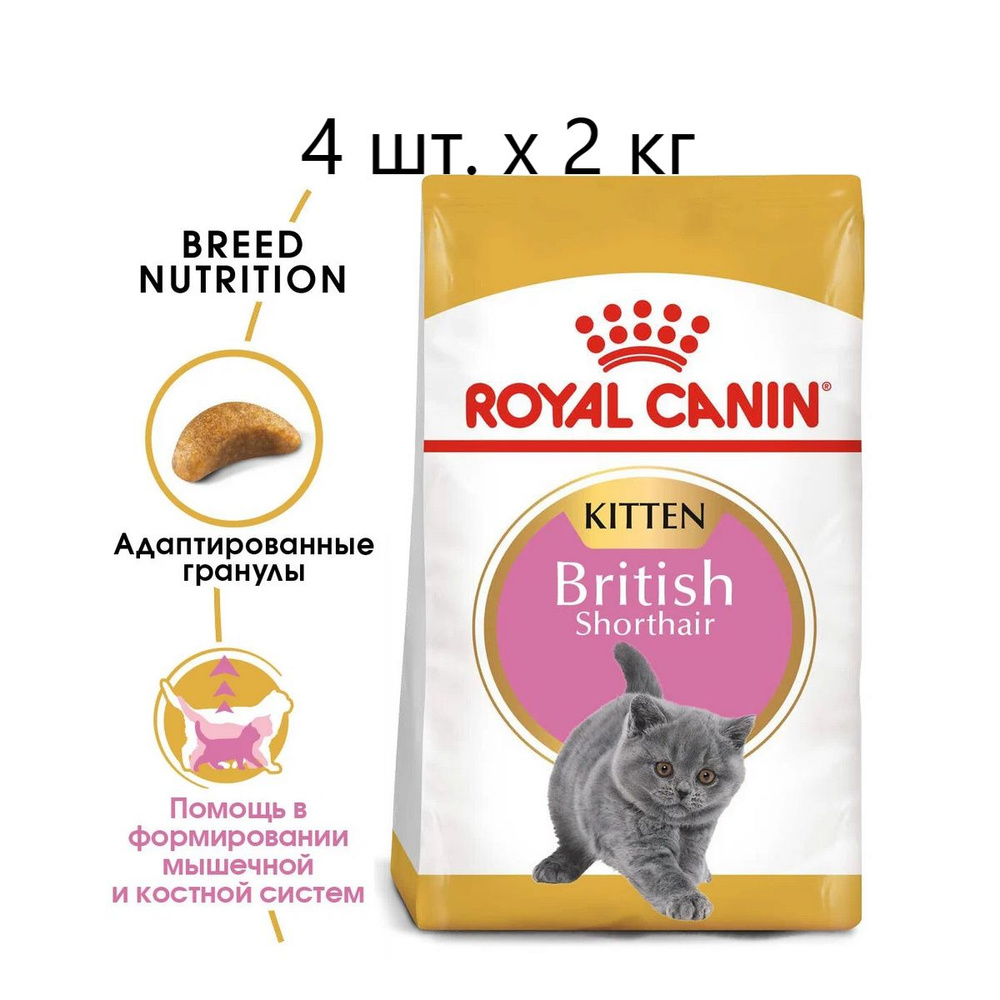 Сухой корм для котят Royal Canin British Shorthair Kitten, для котят породы британская короткошерстная, #1