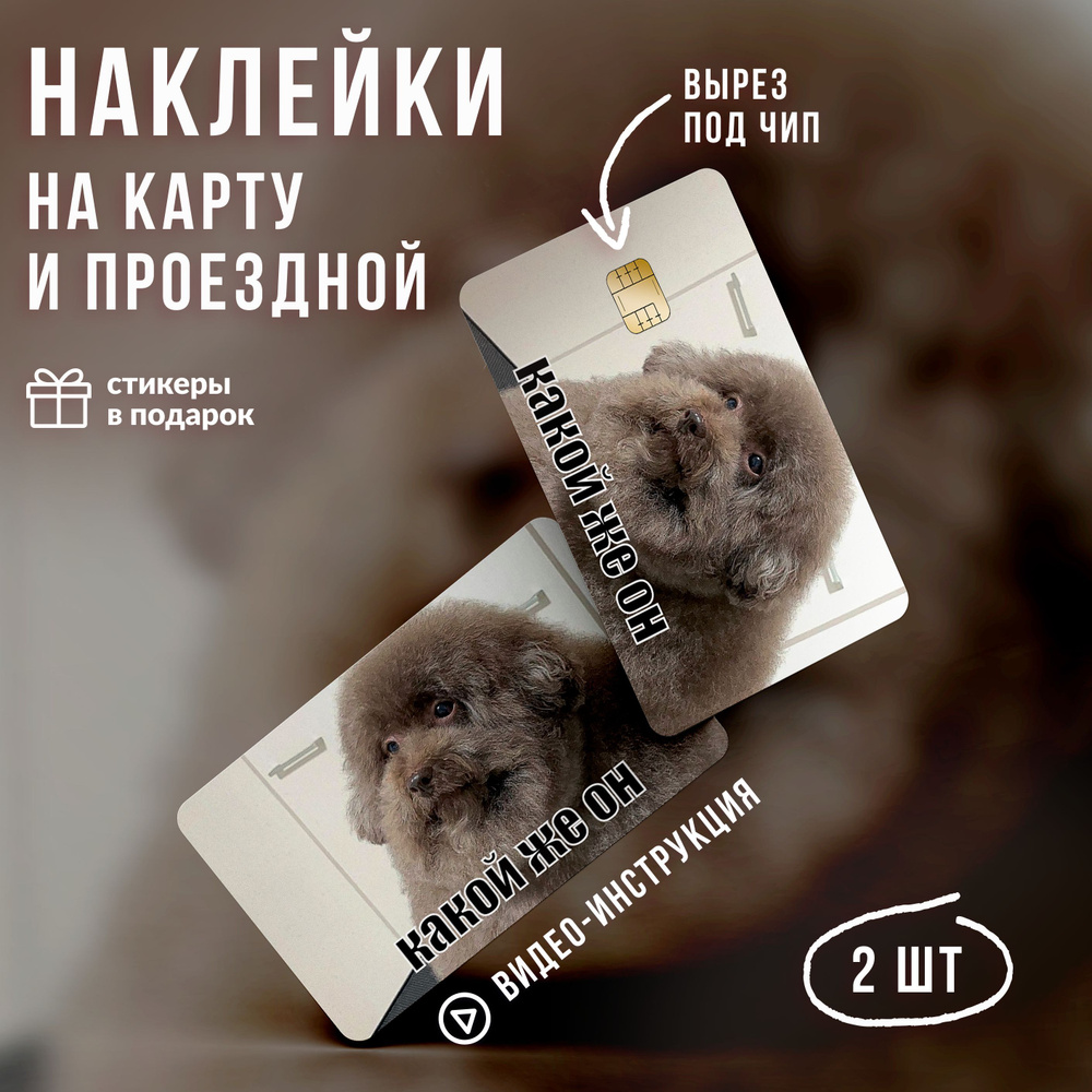 Виниловая наклейка на карту банковскую мем с собакой Какой же он красивучий // Мемные наклейки, той-пудель #1