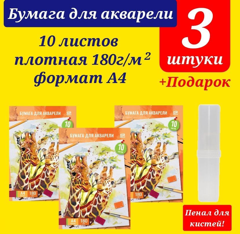 Папка для акварели А4, 10 листов ПЛОТНАЯ 180г/м ( 3 шт. ) + Подарок пластиковый пенал  #1