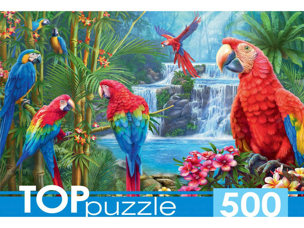 Пазл TOP Puzzle 500 деталей, элементов: Яркие попугаи #1