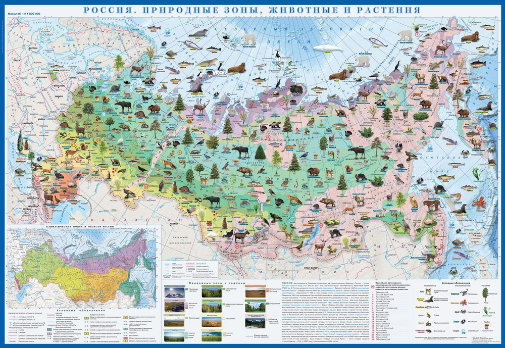 Атлас Принт Географическая карта 70 x 100 см, масштаб: 1:10 000 000  #1
