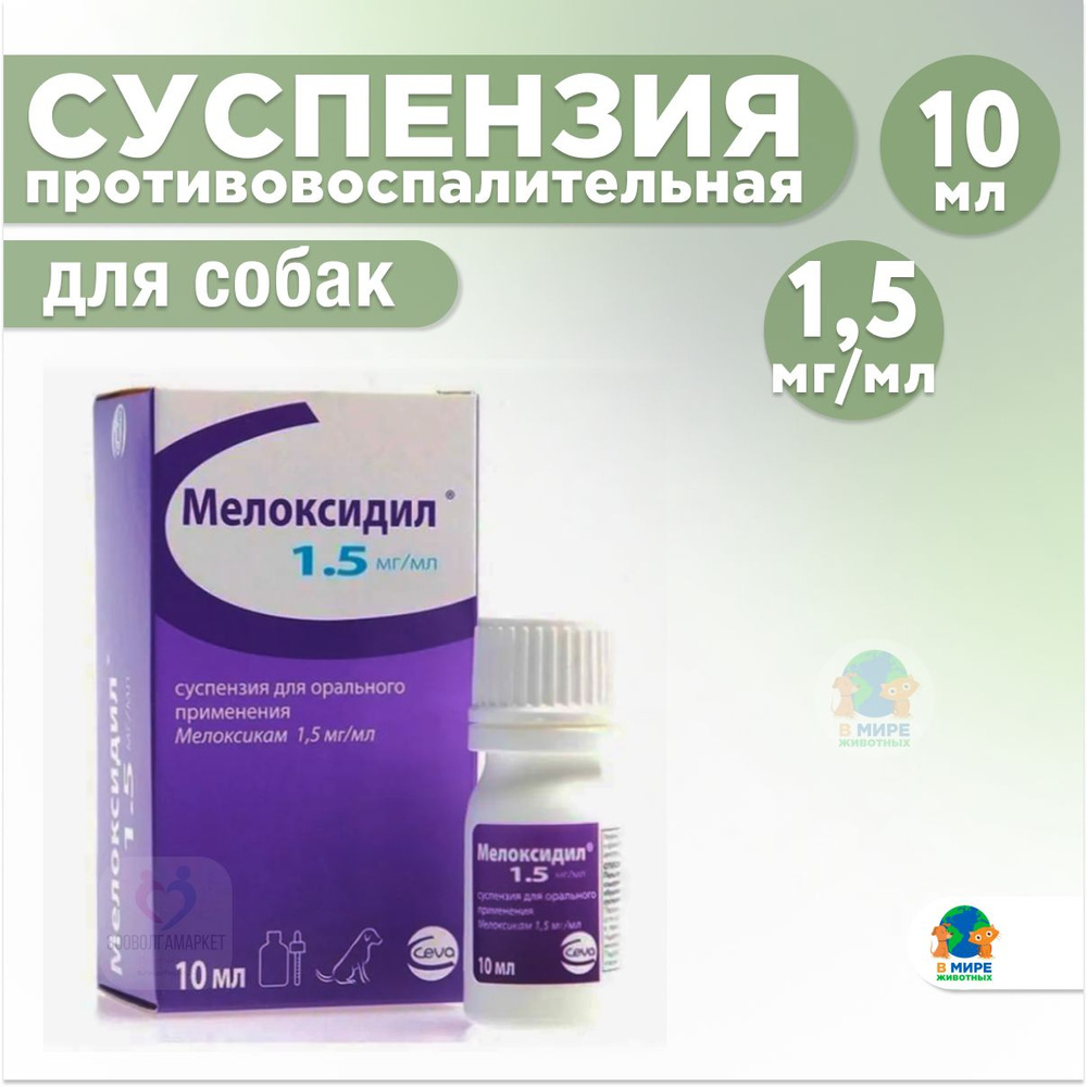 Мелоксидил, суспензия для орального применения для собак, мелоксикам, 10  мл. Анальгетик, противовоспалительное, жаропонижающее. - купить с доставкой  по выгодным ценам в интернет-магазине OZON (1283982646)