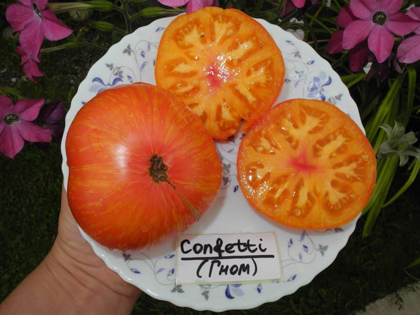 Коллекционные семена томата Гном Конфетти #1
